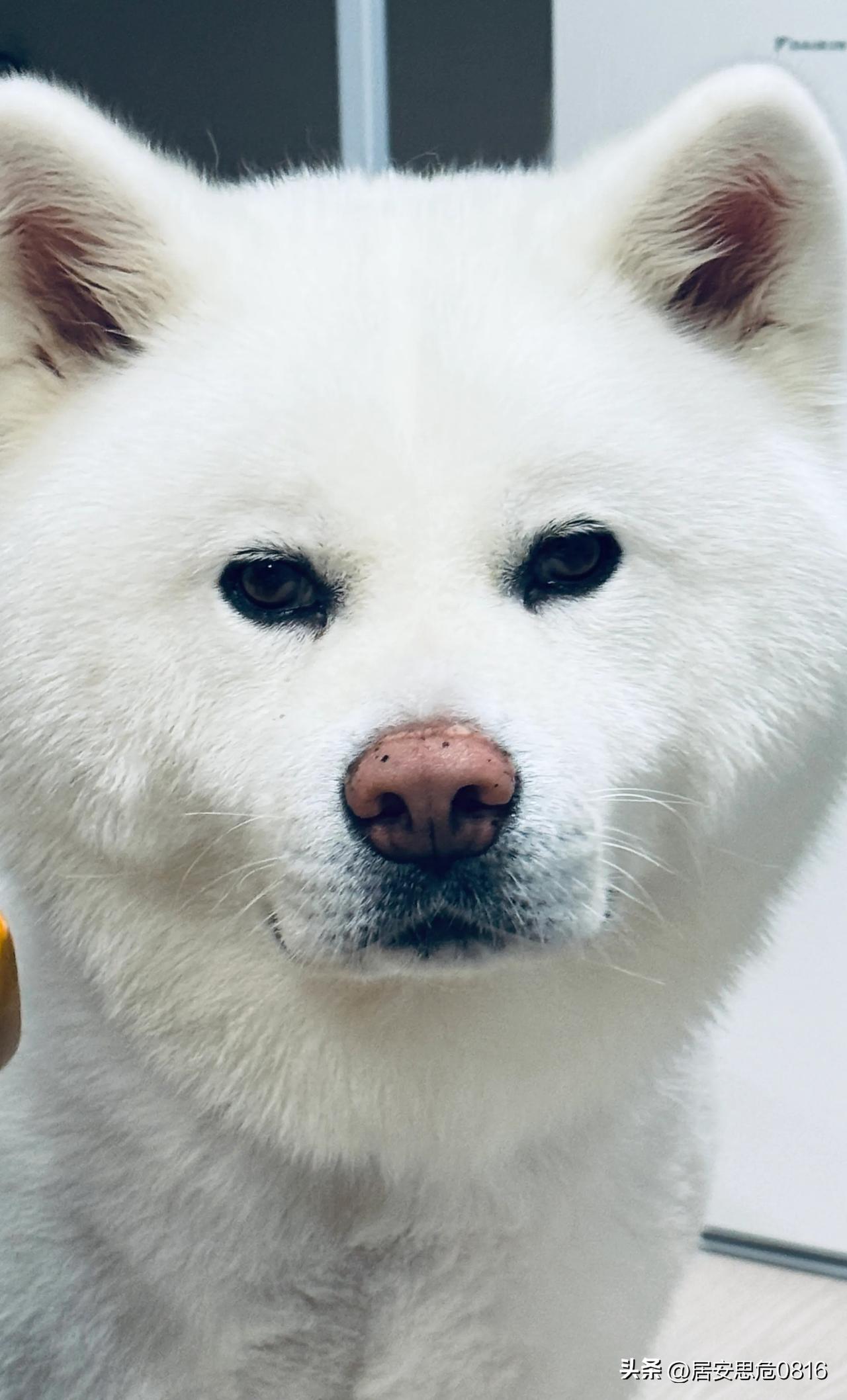 俄罗斯将在中国发行熊猫债或人民币主权债。莫斯科未说明暂停股票交易的原因，但投资者