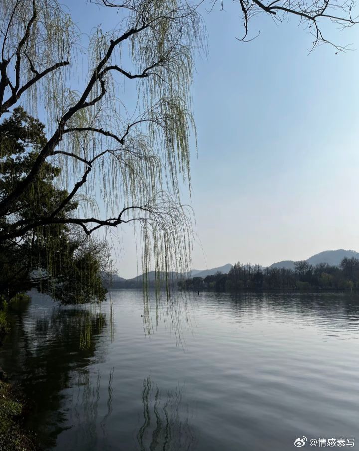 “人只有在不爱任何人的时候，才会情绪稳定，当你不喜欢任何人时，会最轻松最快乐，虽