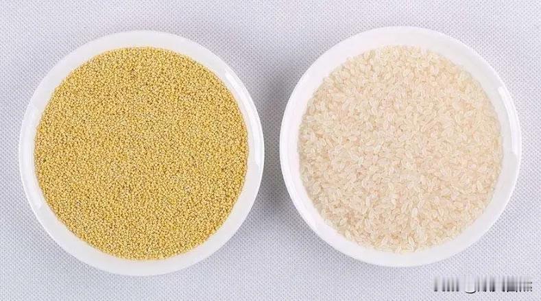 小米和大米各具特点，不能简单地说小米就一定比大米好，但小米在某些方面具有独特的优