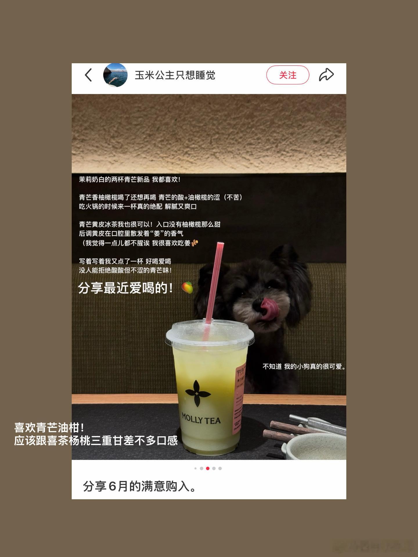 分享近期种草 