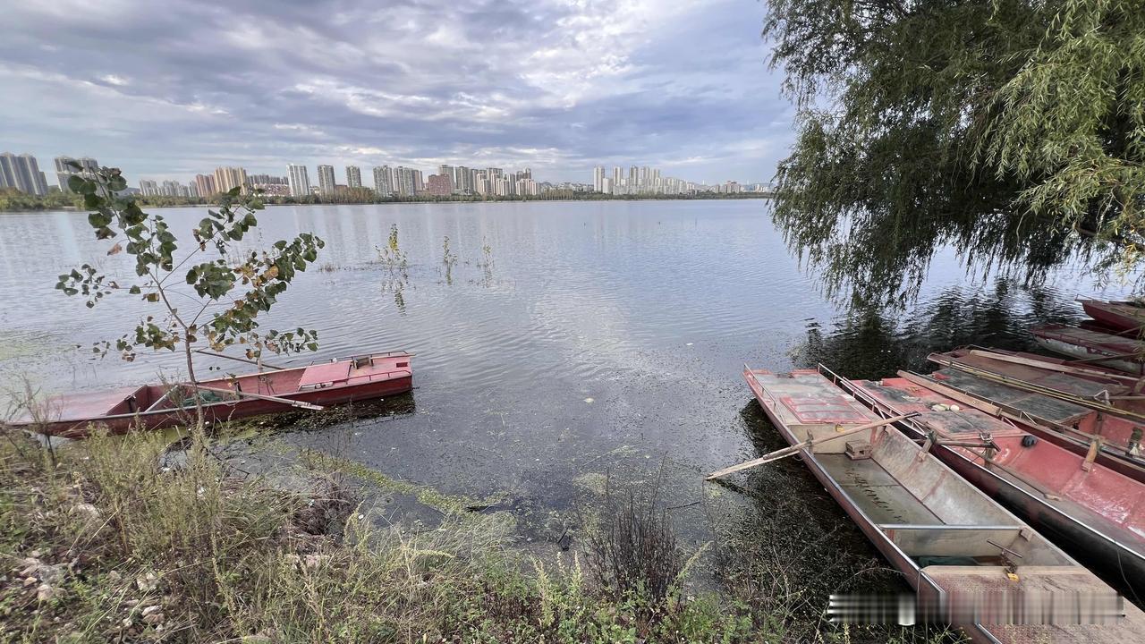 今天，平顶山天气不错，你们那里如何？昨天的一场秋雨，加上一场大风，温度降至20度