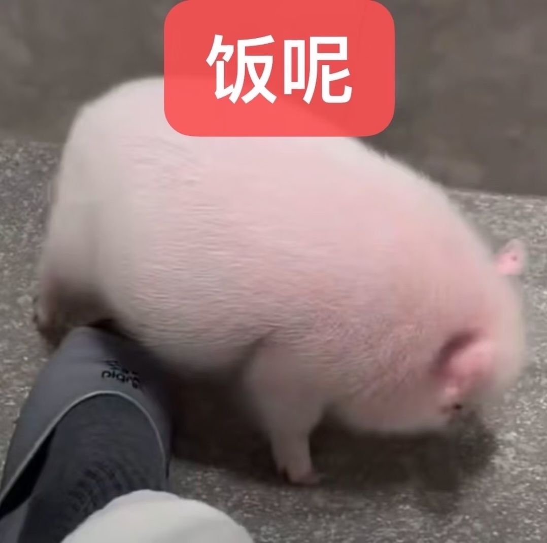 好饿 
