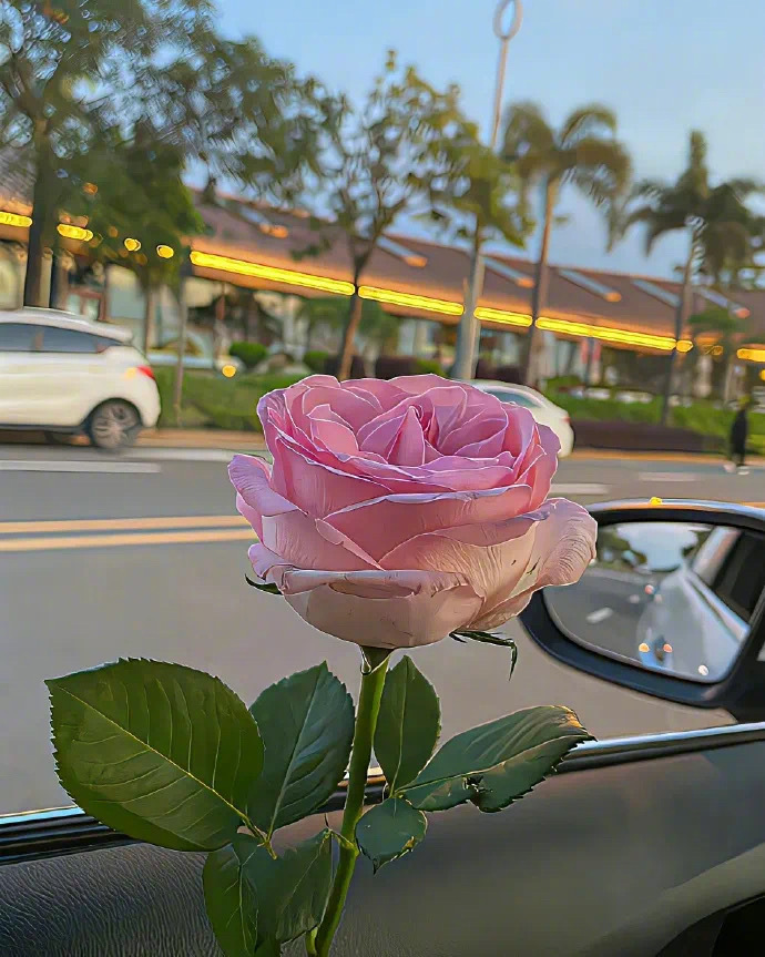 清喜于时光，安稳于日常，不慌不忙，一程自有一程的芬芳。 