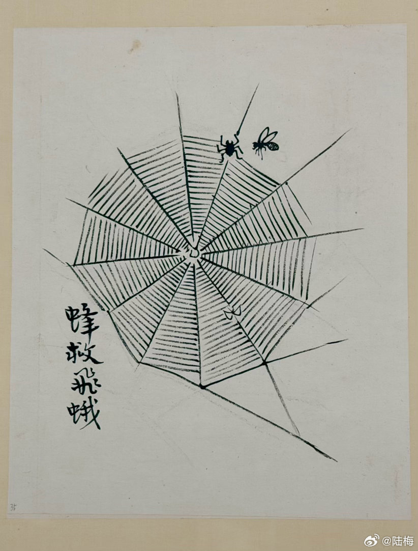 办公室窗台角落，结了一小片蛛网。🕸️本想顺手清理，却发现网上粘着几只蚊子，于是