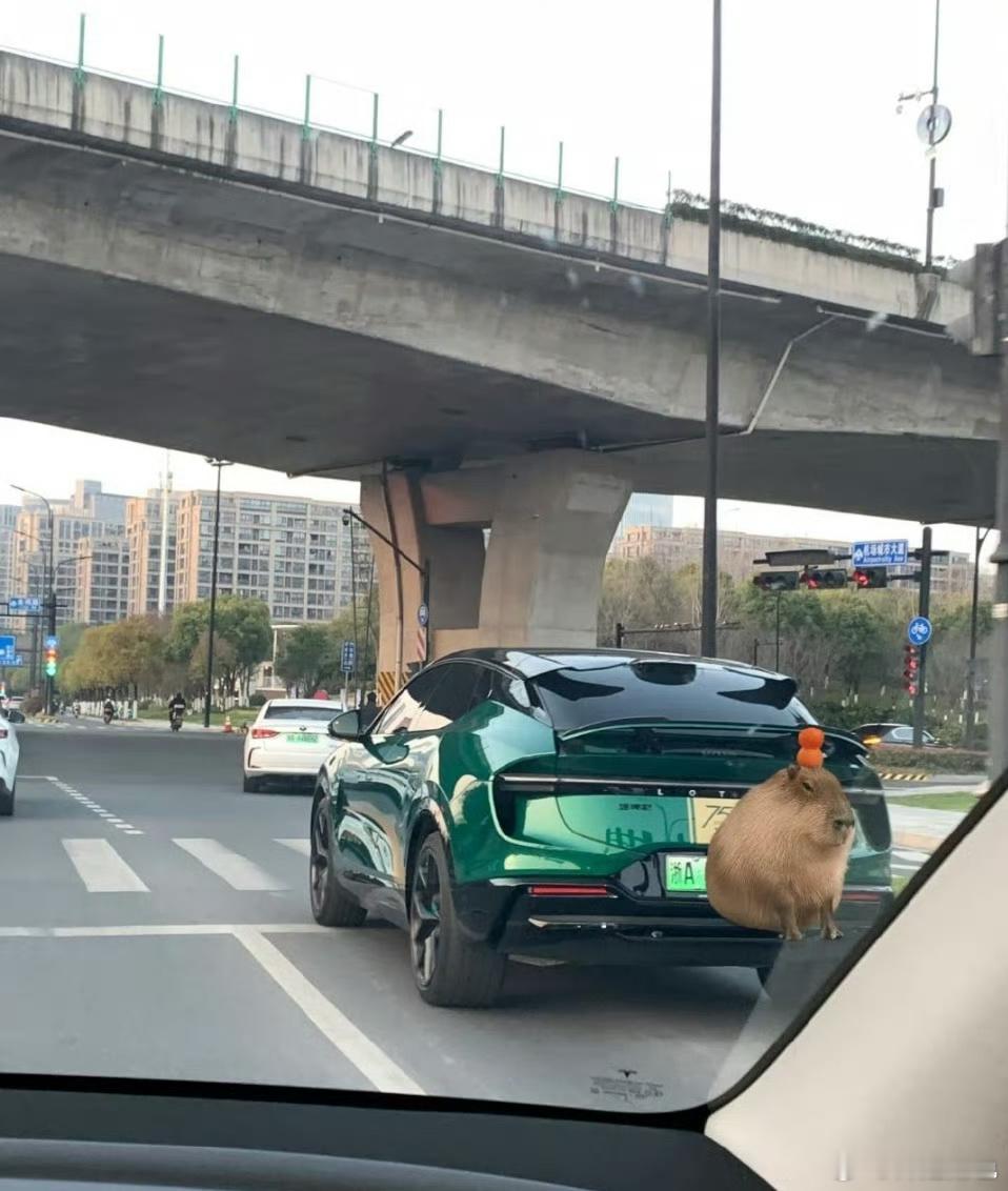 这车看着好牛，是啥牌子啊？ ​​​