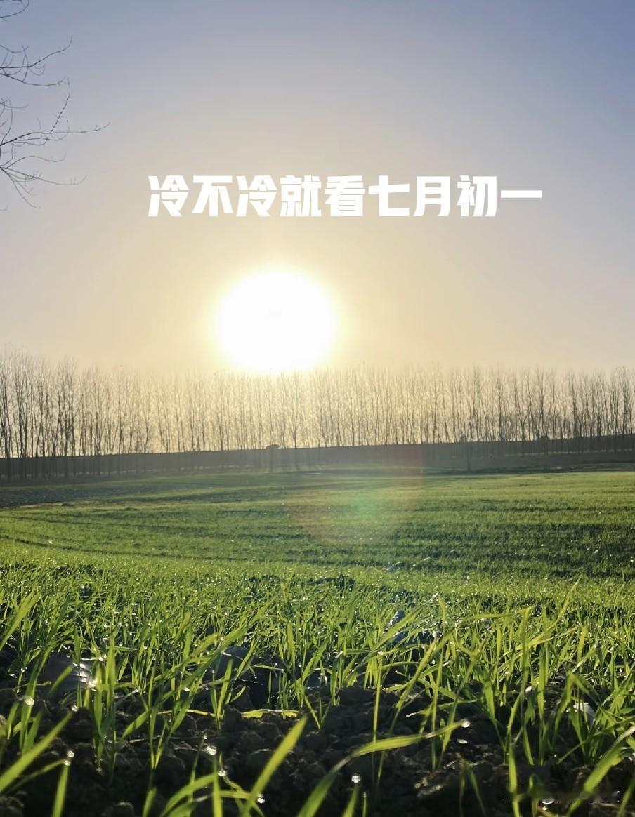 "冷不冷，就看七月初一"，今日七月初一，今年冬天会冷到哭？
 
“孟秋朔日观云色