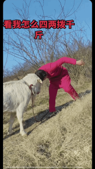 压抑太久，
实在无从发泄！