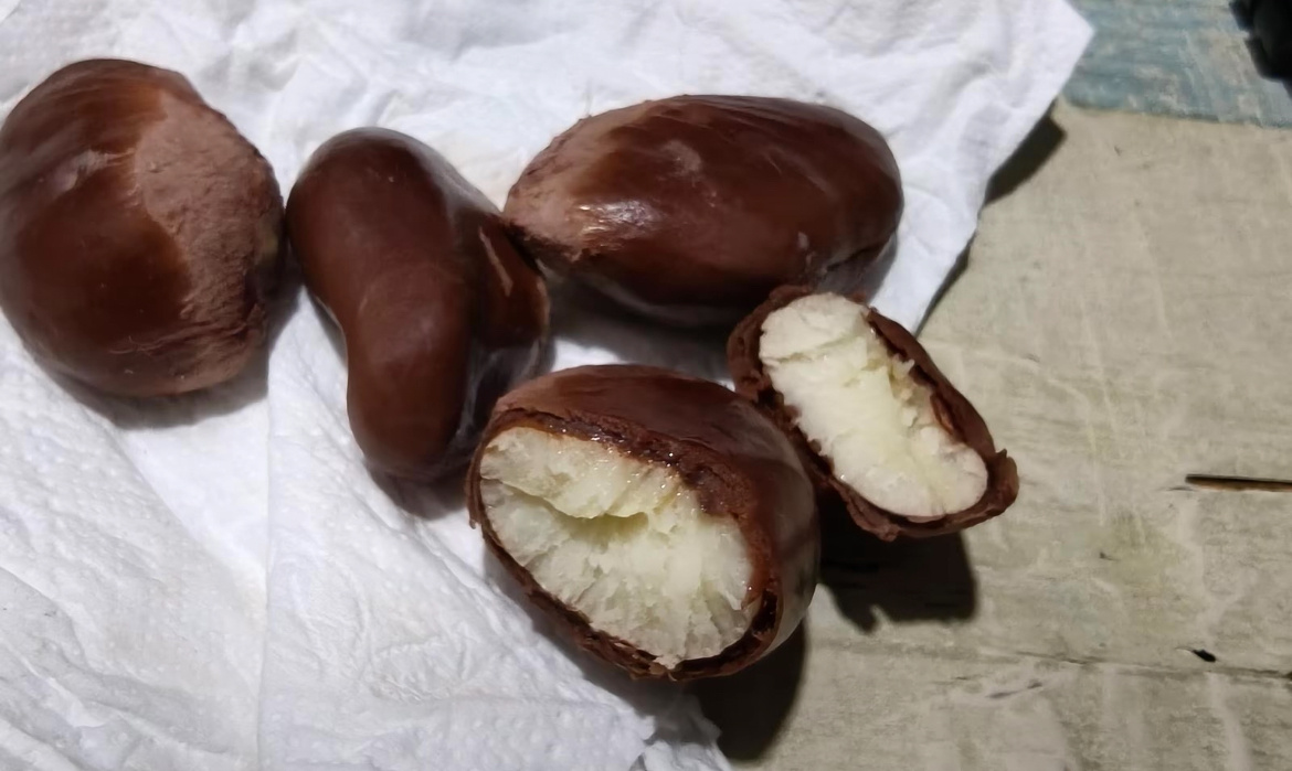 榴莲核煮饭别说榴莲种子炒来吃，之前就试了一下，刚一上锅，就闻到屁臭味如果你喜欢臭