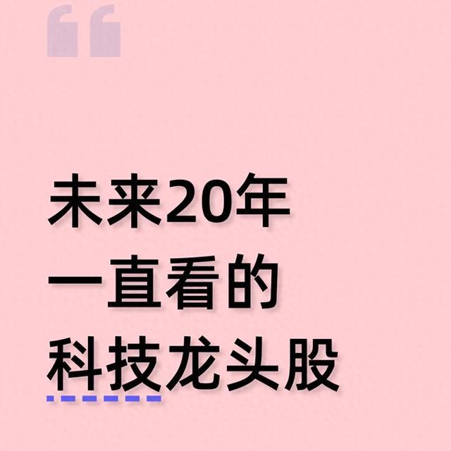 二十年科技龙头，锁定三条黄金赛道
          未来二十年真正的科技王者，