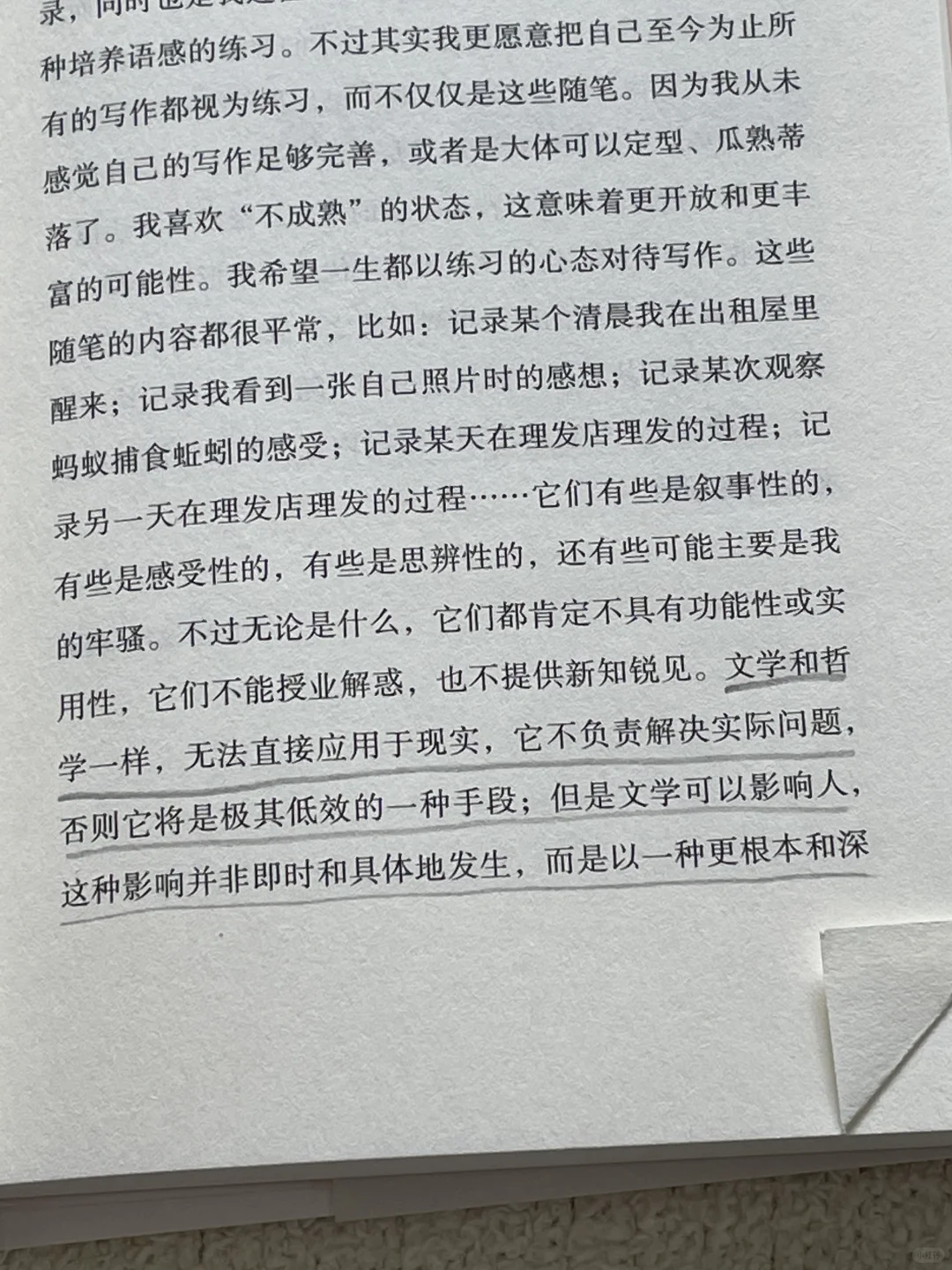 唯有文学不拒绝任何人