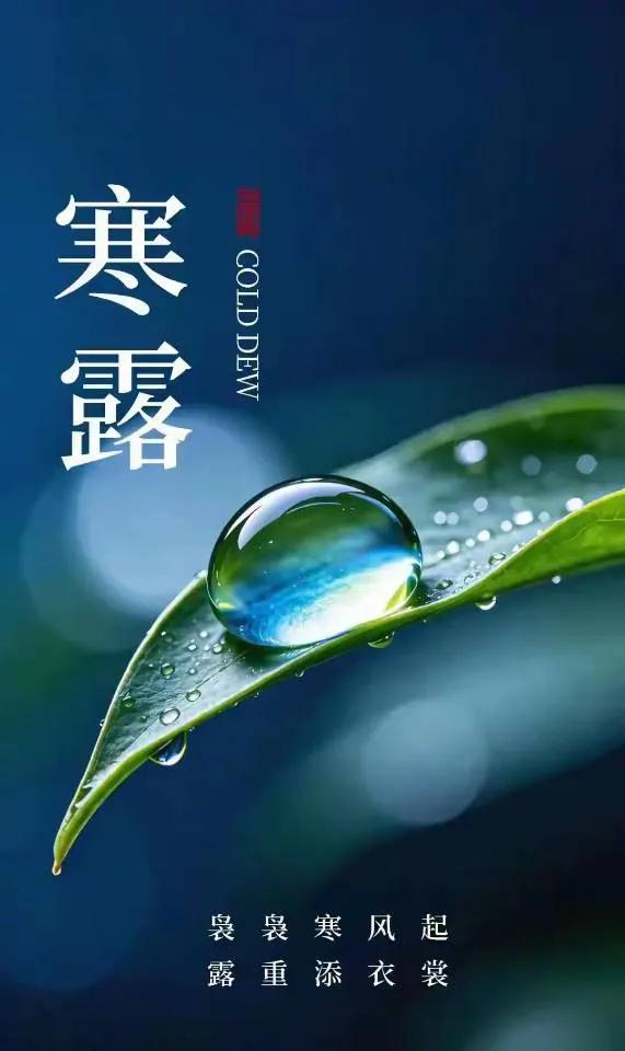 寒露：露冷秋深，静赏四时华章

“袅袅凉风动，凄凄寒露零。”伴随着阵阵秋风，我们