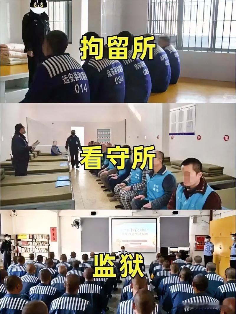 被拘留进看守所并非必须戴手铐。一般情况下，在看守所内正常拘押期间，如监室内休息、