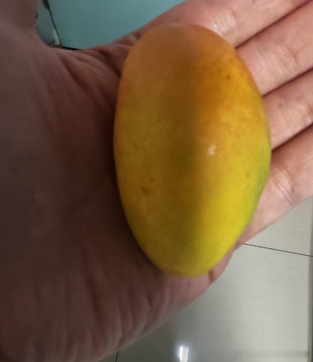 今天该我值班收病人，最近工作量实在是太不饱和了，上班的时候特地带了个小芒果扭转颓