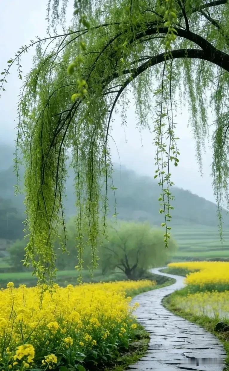 社会学家令人醍醐灌顶的话：纵观千年历史，藏着一条不变的残酷规律：再完善的架构、再