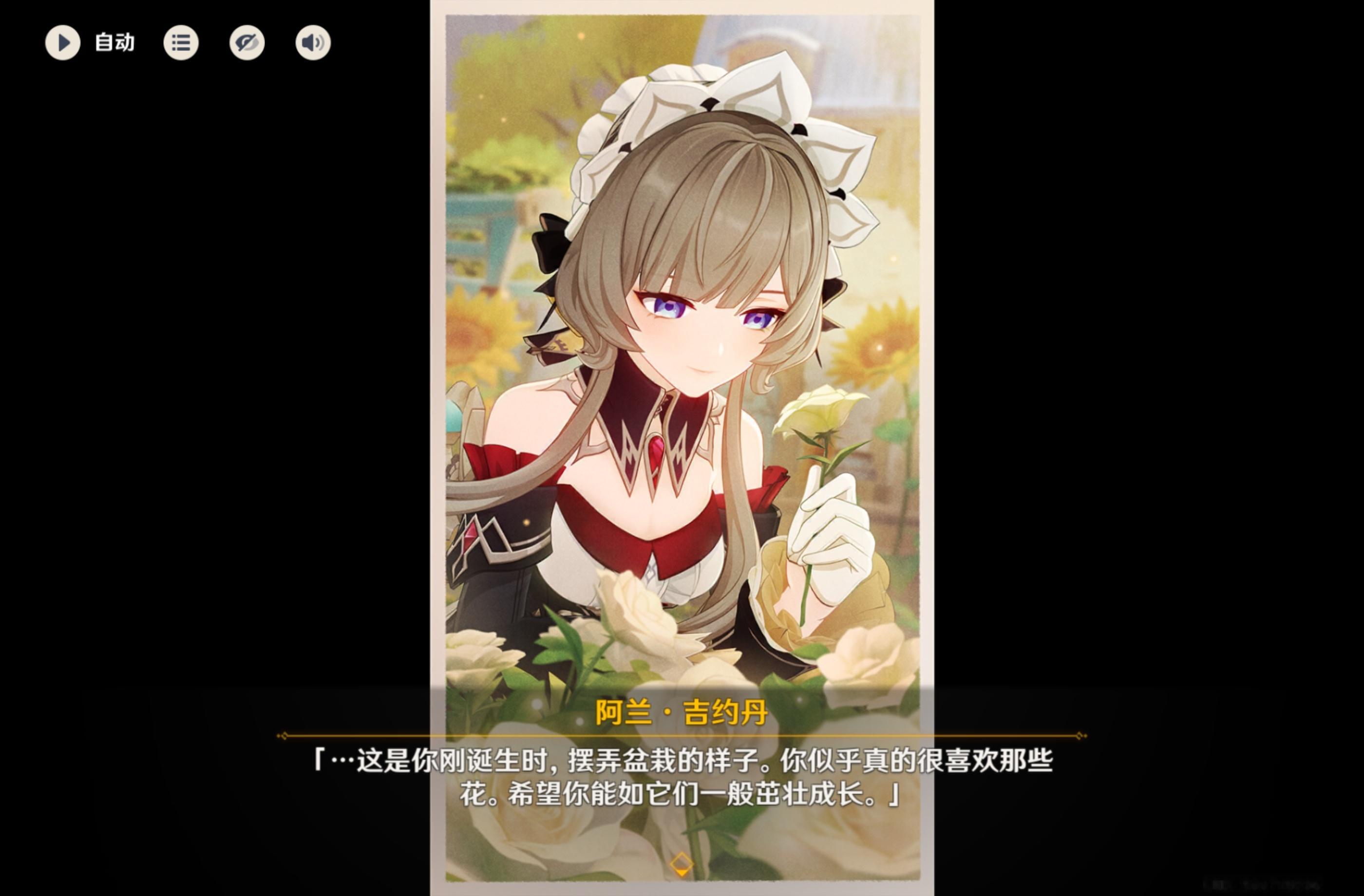 吾家有猫初长成 