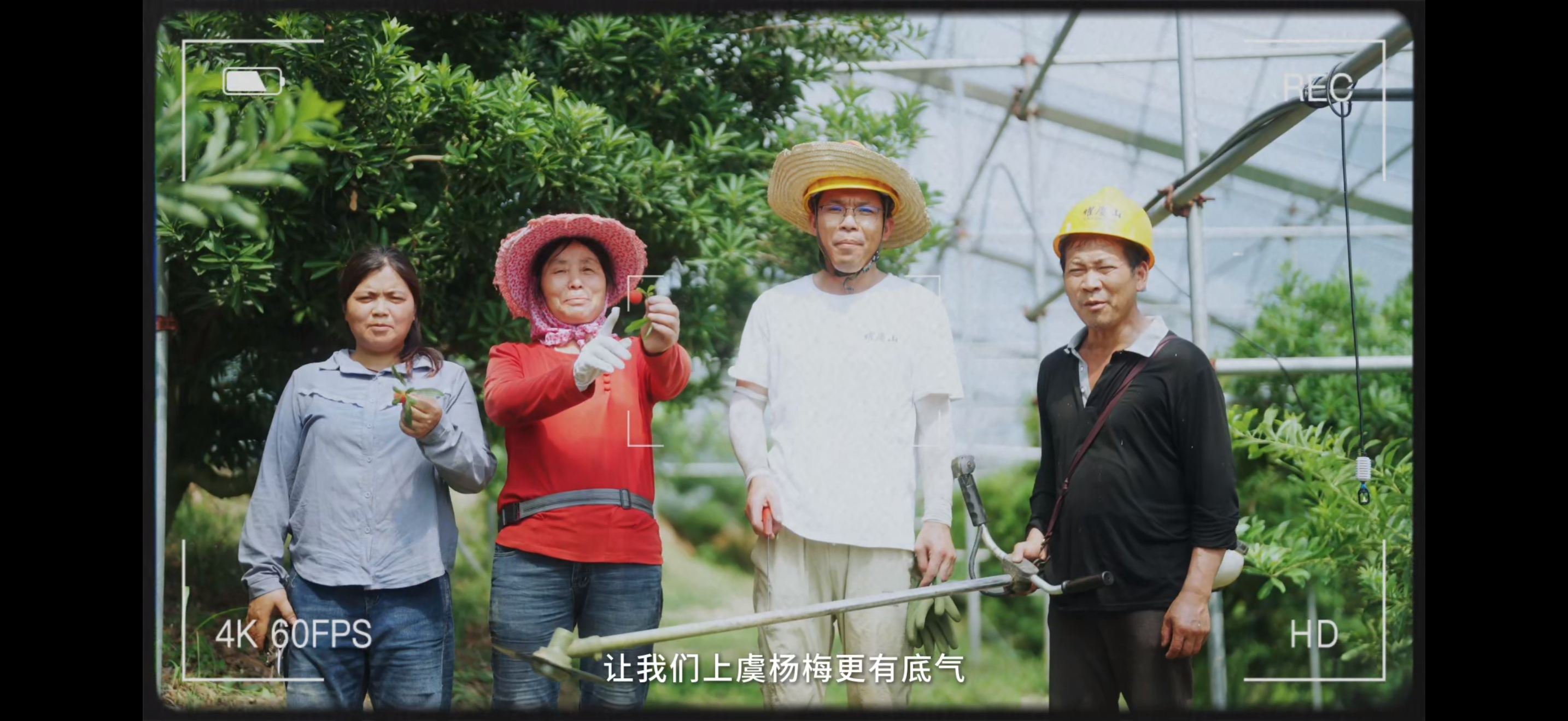 上虞仙果好滋味城市食力地图刷到绍兴上虞的仙果推荐，我真的动心了。本上海周边游爱好