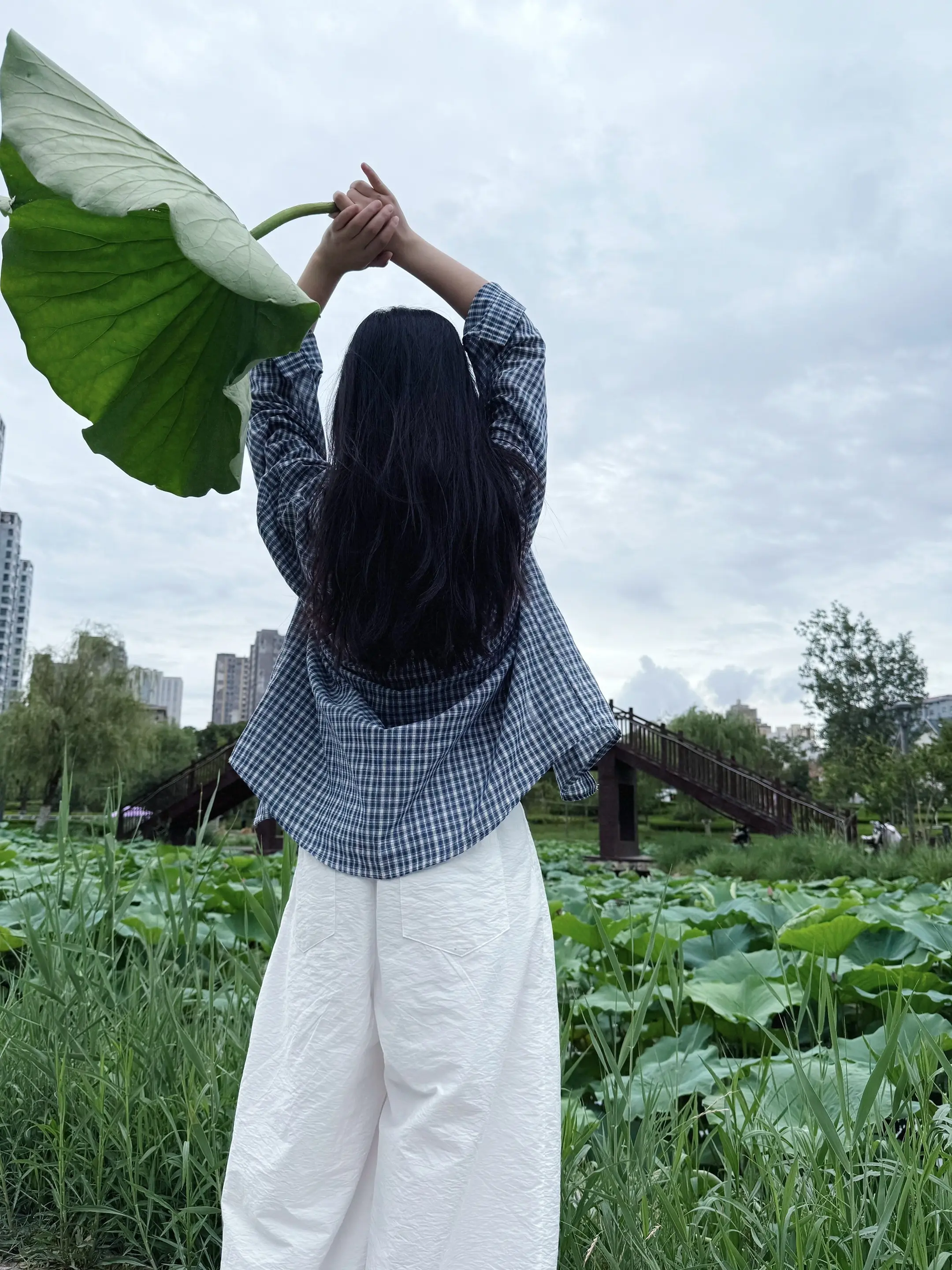 荷花池畔 治愈系