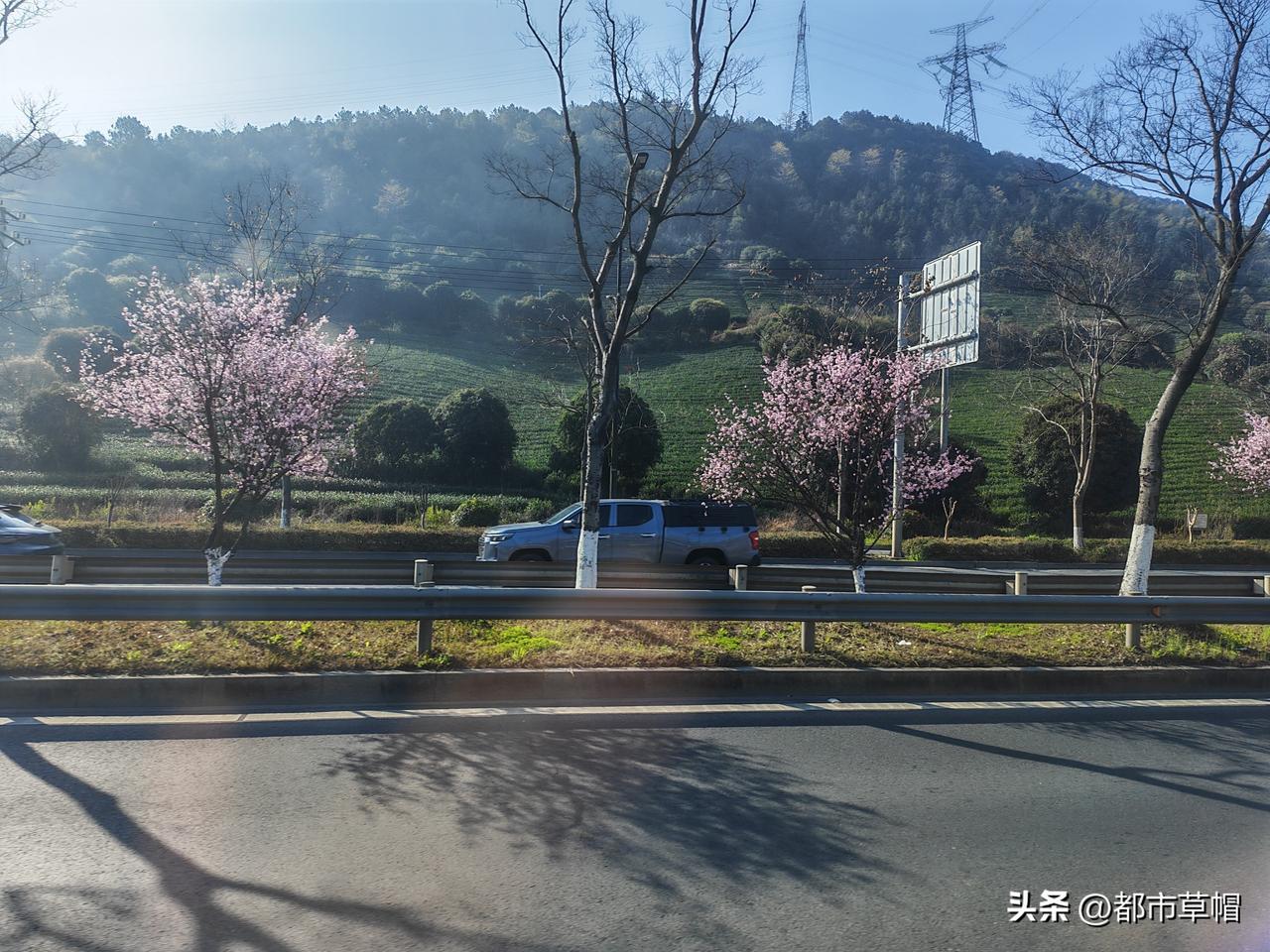 去万市的途中，虽然经过的乡镇都是田地和小山，但是春天的乡村到处都是美景，公路隔离