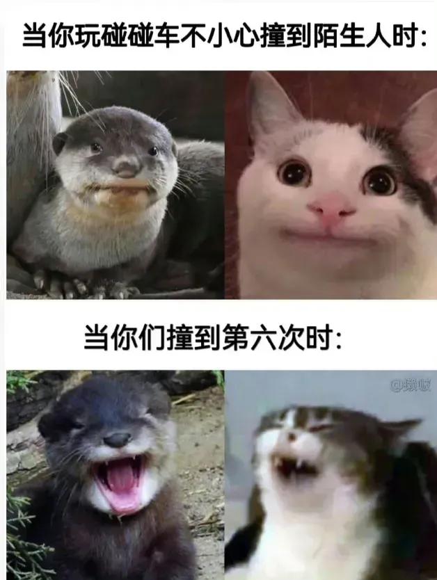 碰碰车我唯一玩不腻的项目