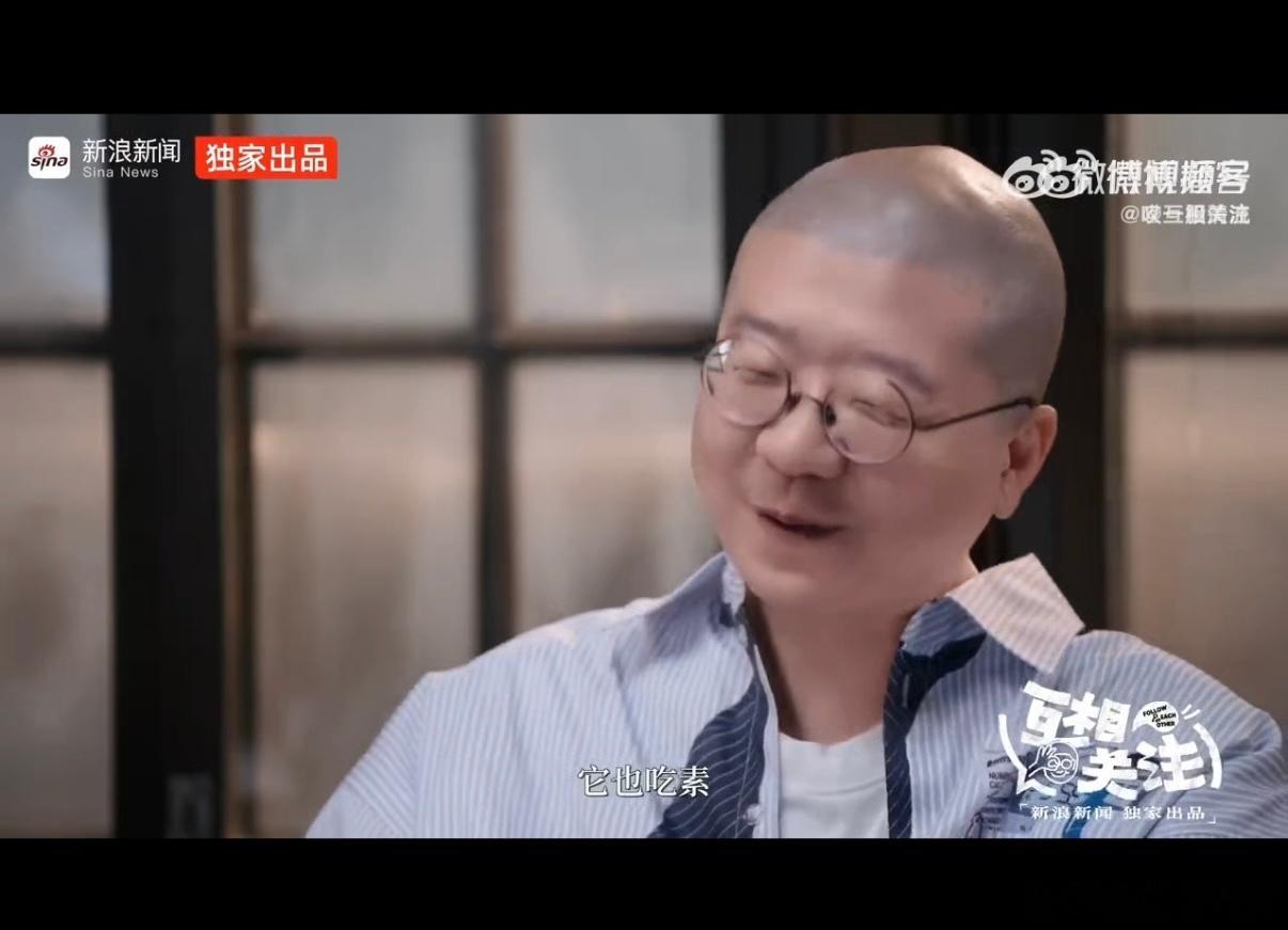 王祖贤的狗也吃素 感觉王祖贤是真的把狗狗当家人养，第一次养狗就这么认真照顾，太温