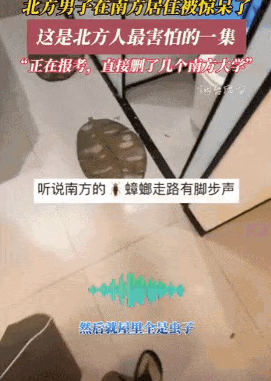 忍不了一点！海南，一北方男子来旅游，没成想，一场暴雨过后回到酒店，发现满屋子都是