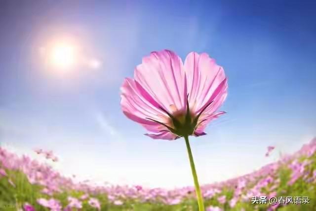 “不是我挑事情，正常的中国人会把‘哟西’当口头禅脱口而出吗？”广西南宁，一校长在