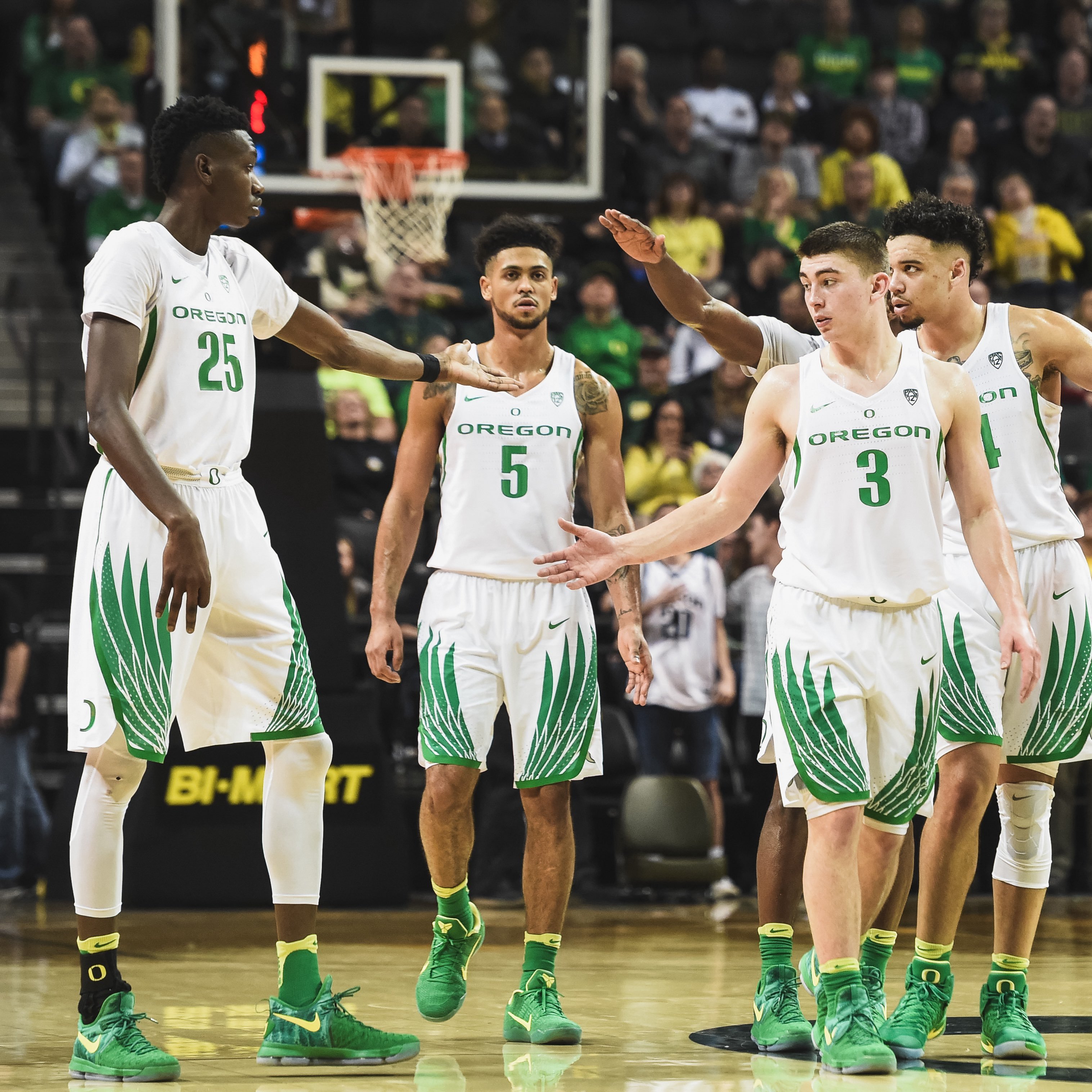 Ducks ➡️ Celtics波士顿凯尔特人[超话] BLEEDGREEN ​