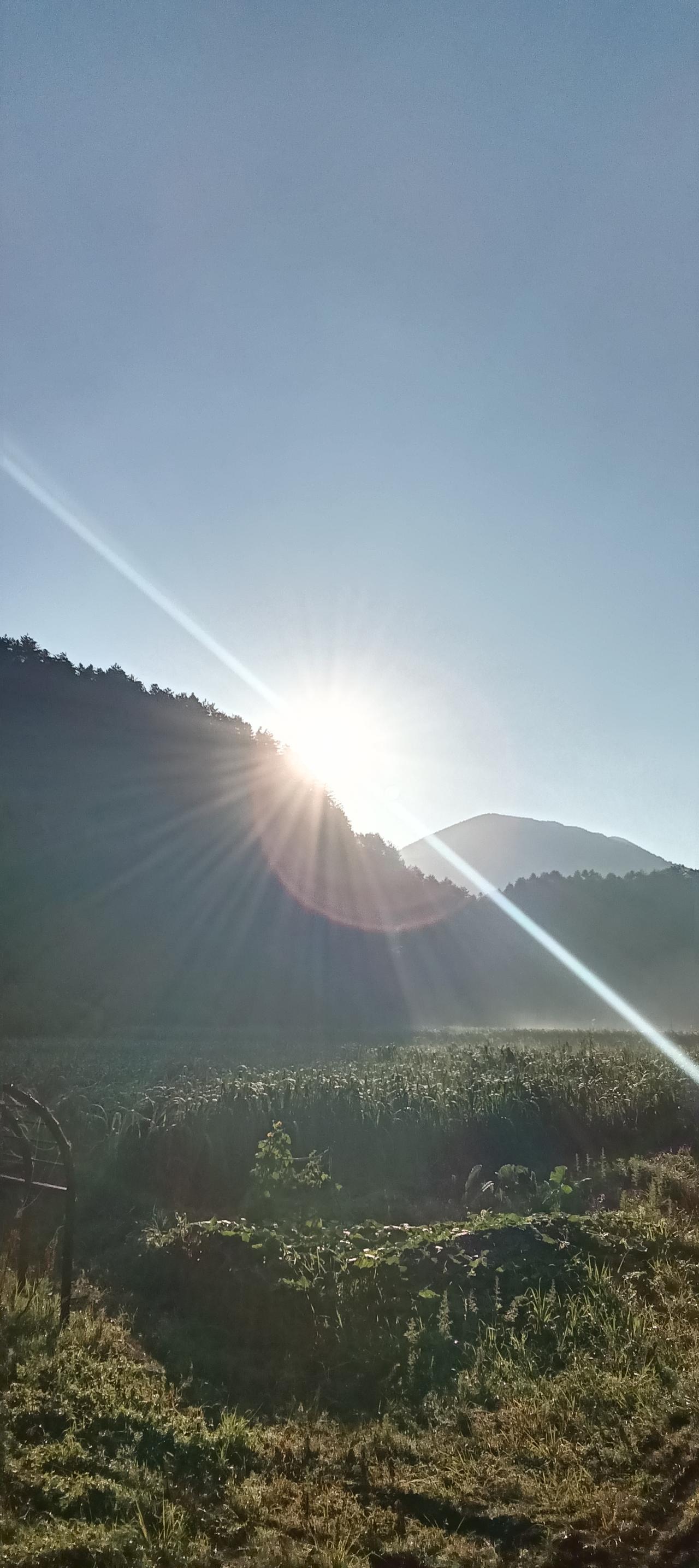 分享你最喜欢的随拍照片