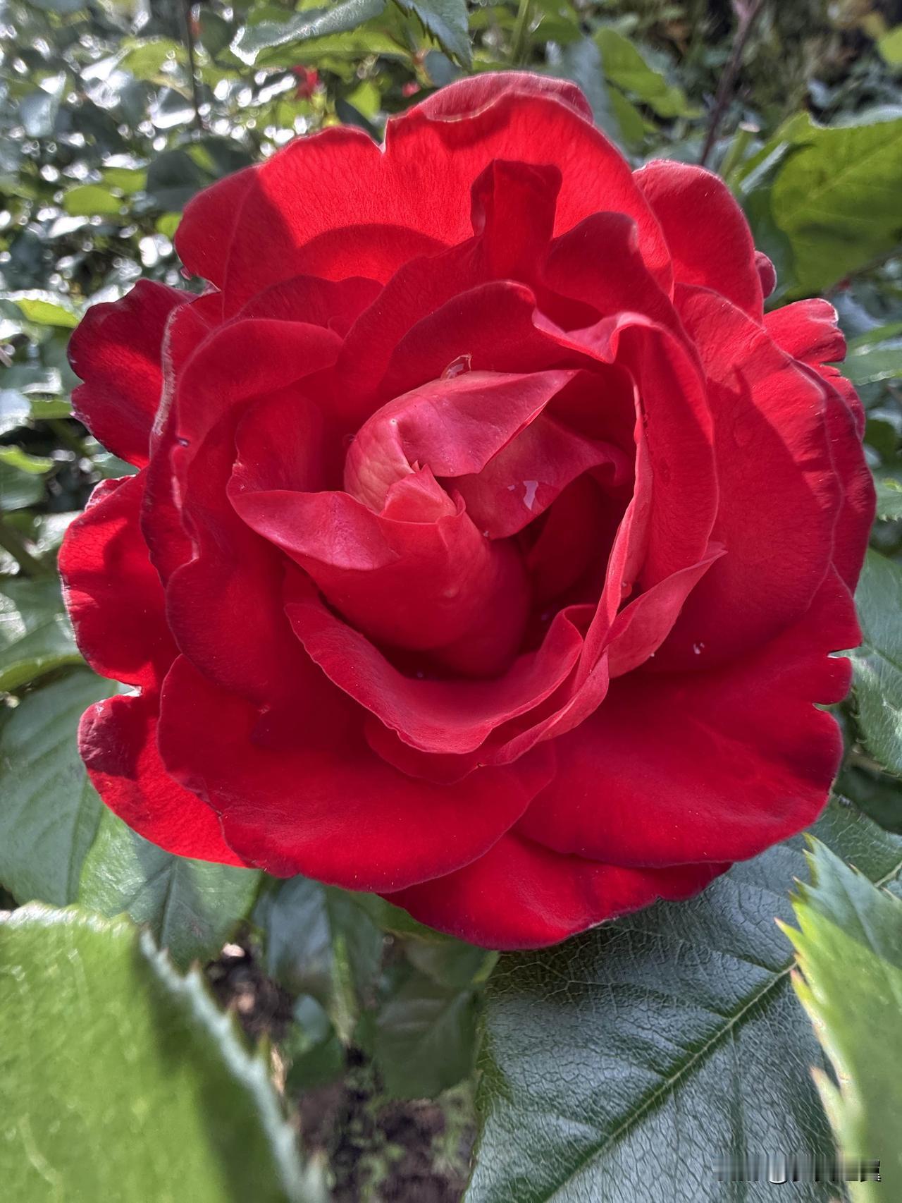 人的一生最大的财富是什么? 
【小对联】
上：宾客；
下：……？