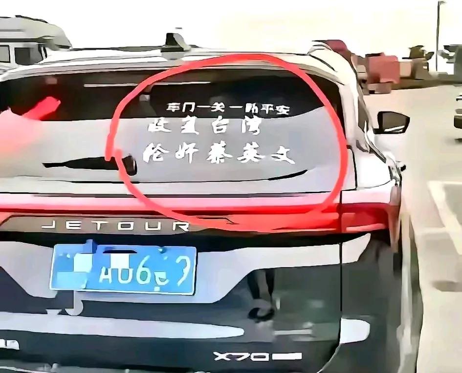 这种人简直病的不轻，也不知道脑袋被驴踢了还是被门夹坏了？

看似给自己贴上爱国的