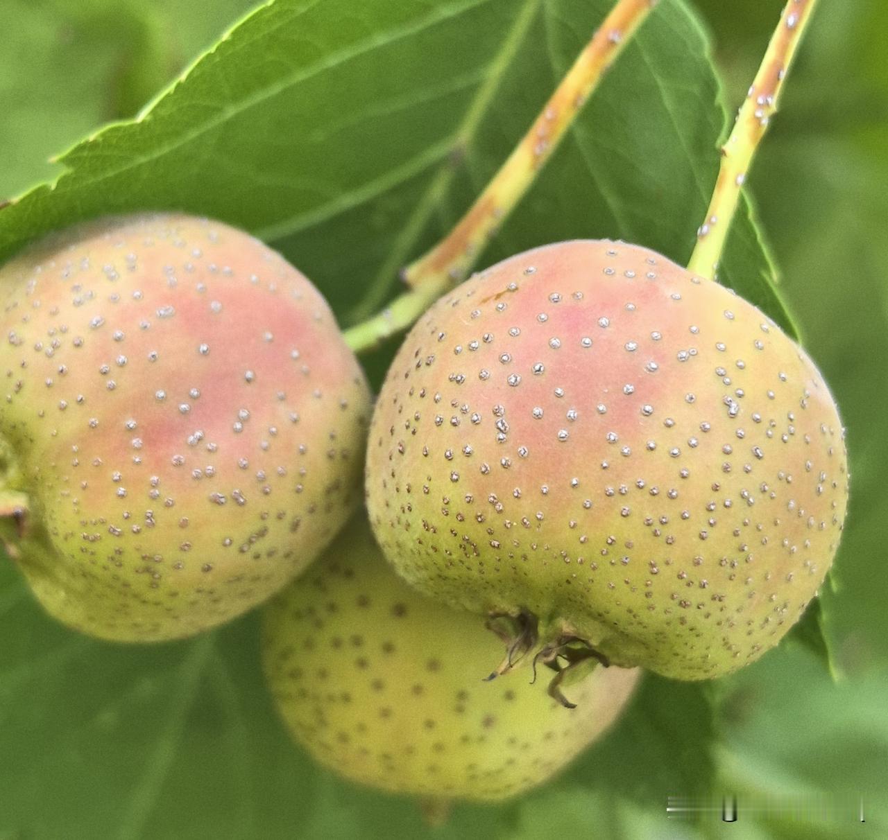 分享一句秋日感悟秋雨淅沥，褪去盛夏的燥热。气温悄然回落，才懂一场秋雨一场寒。世间