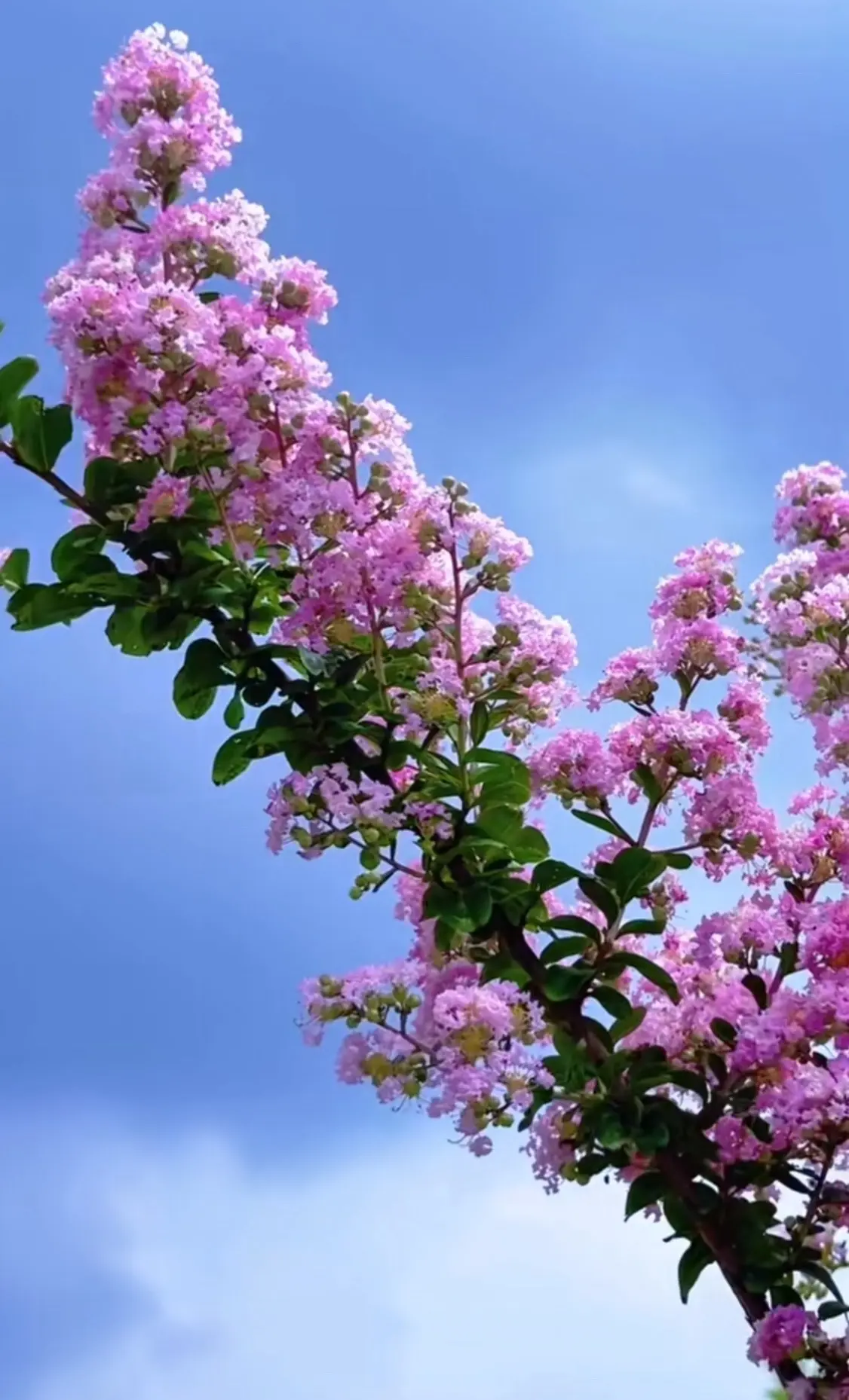 不用羡慕嫉妒任何人，别人有的我也有，别人没有的我也有哈