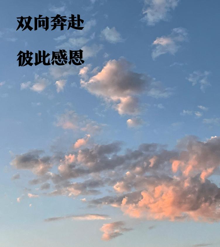 走出校园踏入社会，见过虚情假意明白长久的相处，从来不是单方面付出，难得双向奔赴，