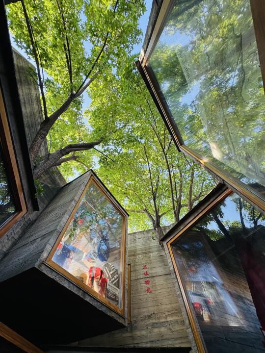 初夏 ，在北京来场胡同walk充能吧