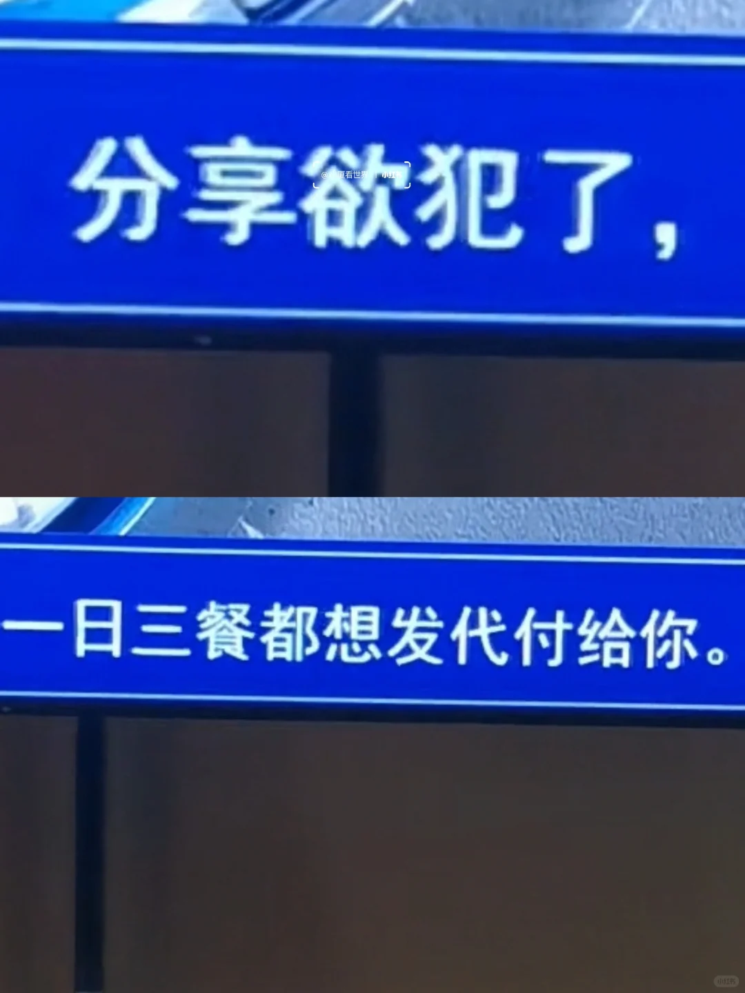 厦门树洞好癫好好笑啊哈哈哈哈哈