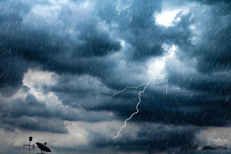 问：为什么打雷不能在大树下躲雨？
答：树木高，容易引雷电，电流会顺着树干扩散，造