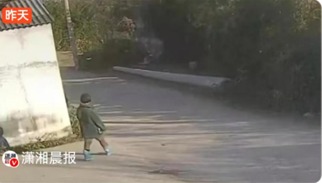 一公里外的化粪池：一个8岁女孩的最后足迹，与网络喧嚣背后的冰冷现实
11月20日