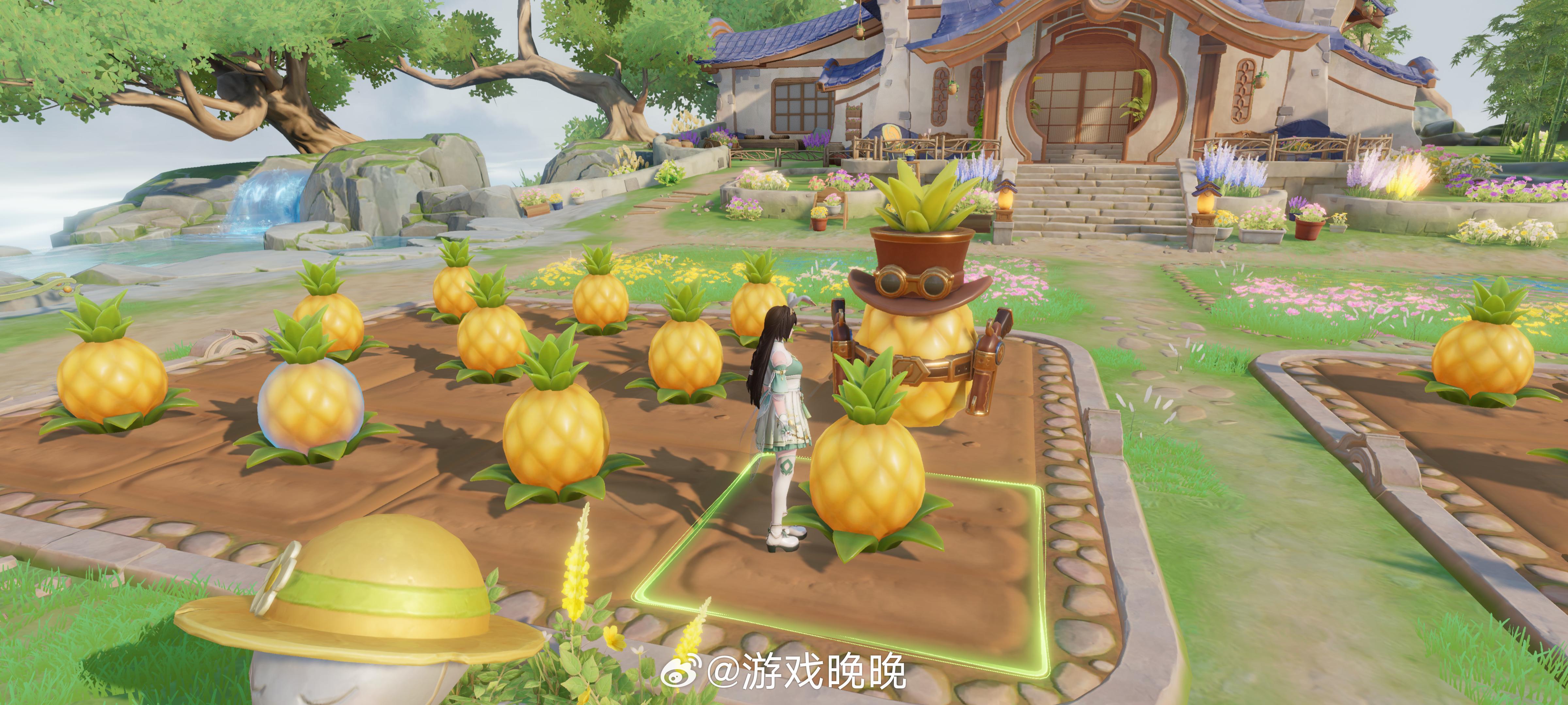 夏日游趣狂欢季15日打卡夏日游趣狂欢季此刻游我主宰 终于种出来马可啵啵了！！！太