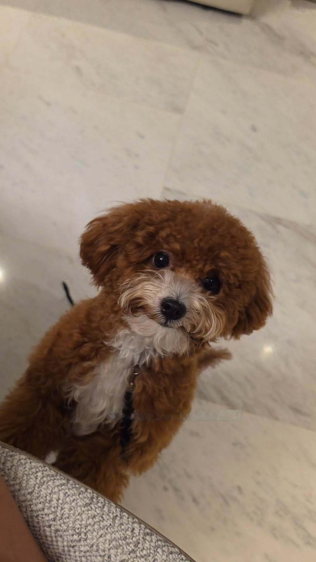 EnjoyJune🐈⬛🐶enjoyjune 受宠的小少爷宝宝一回家就宠爱do