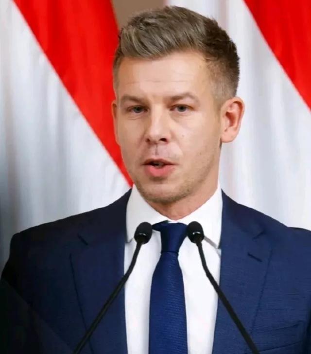 欧洲新闻网报道，匈牙利总理马扎尔宣布，由于该国现任总统舒尤克，未能履行一国元首的
