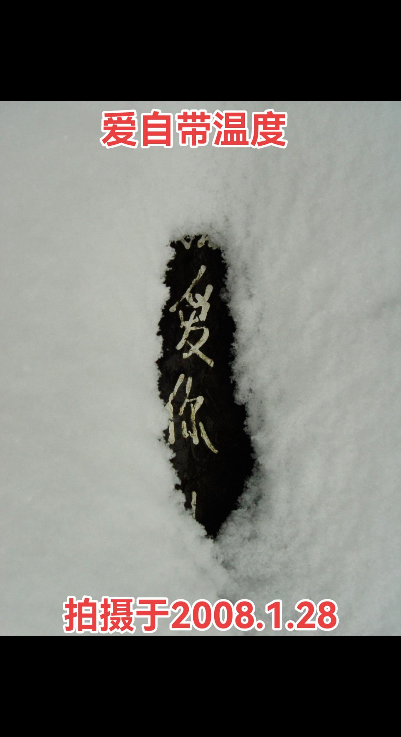 今年入冬以来，期待中雪一直未下，那就发张雪景应个景吧，这是我雪后南屏发现的大片雪