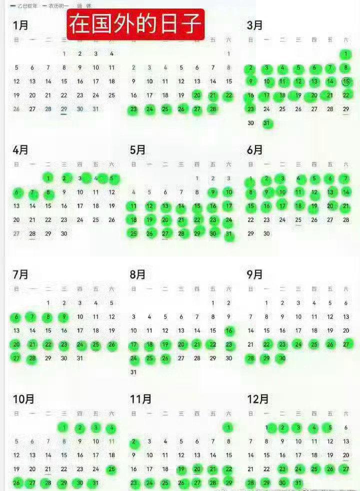 綦美合 儿童玩具真的没人磕吗，老伯六七年了坚定不移，还会主动买儿童玩具，啊啊啊幸