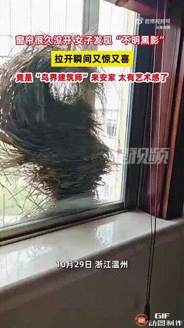 浙江温州一名女子很久没有拉开房间的窗帘，可突然拉开一看，却发现了一个神秘的黑影，