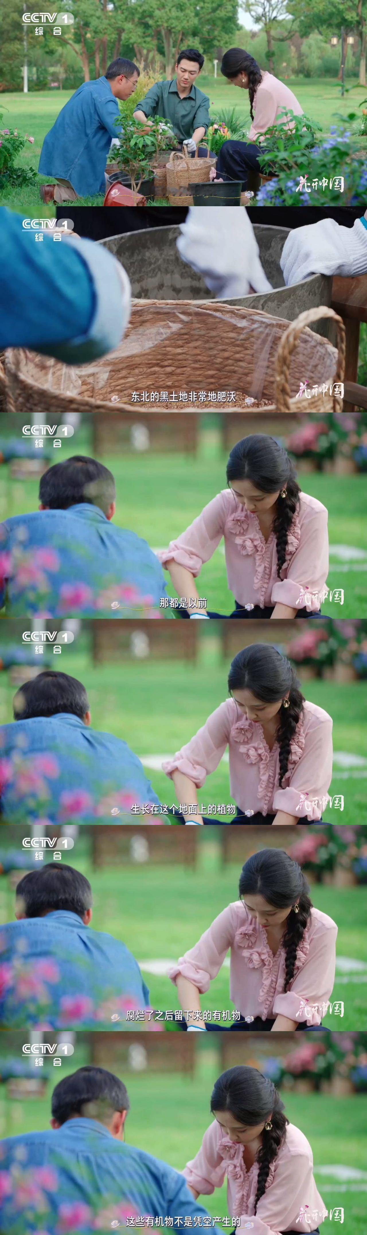 土壤诞生是生命共创的壮举，原始植物扎根裸岩、代代耕耘，风化岩石攒积养分，终造滋养