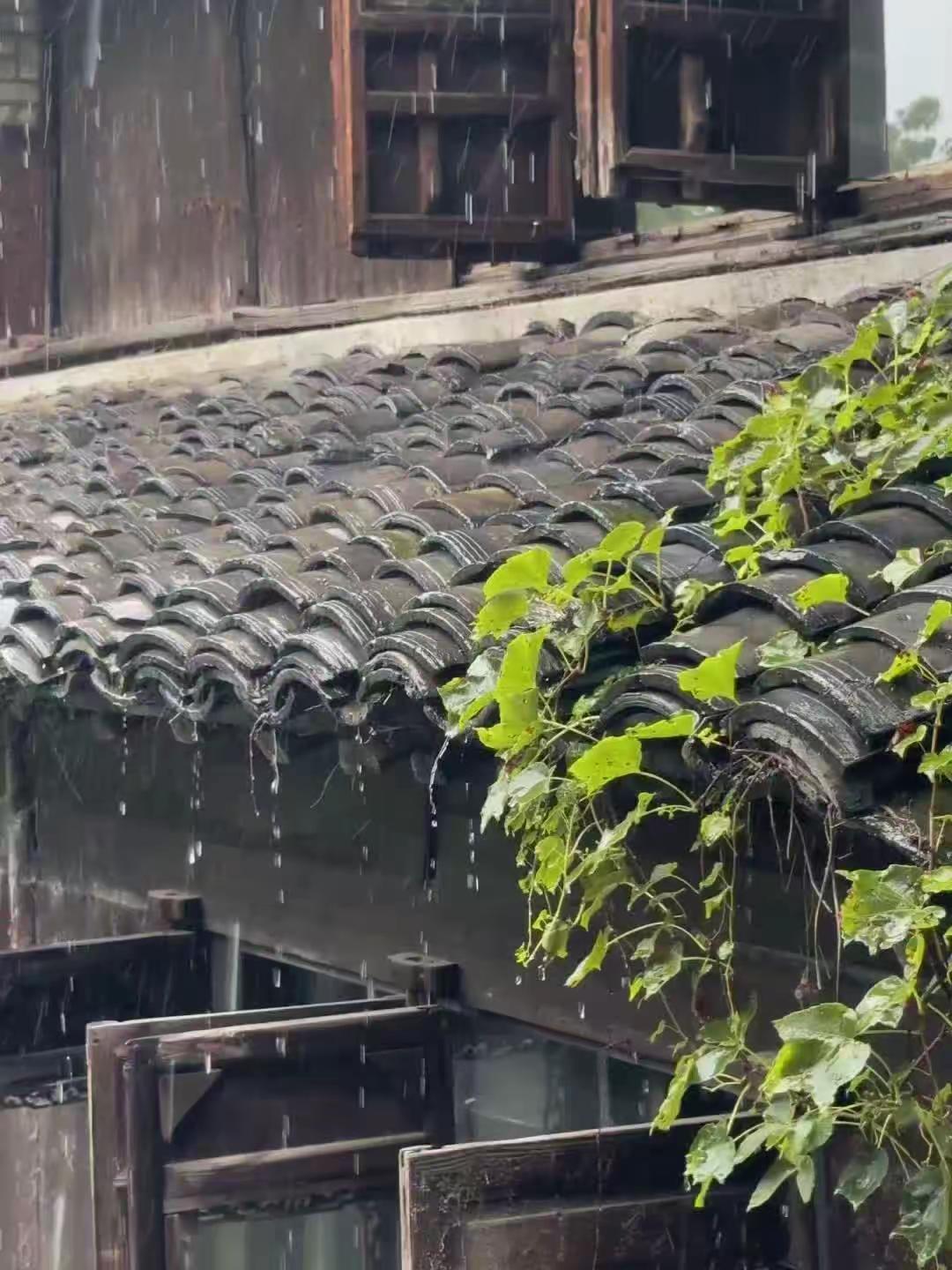 “抱歉来晚了 人都亖光了吗”代餐