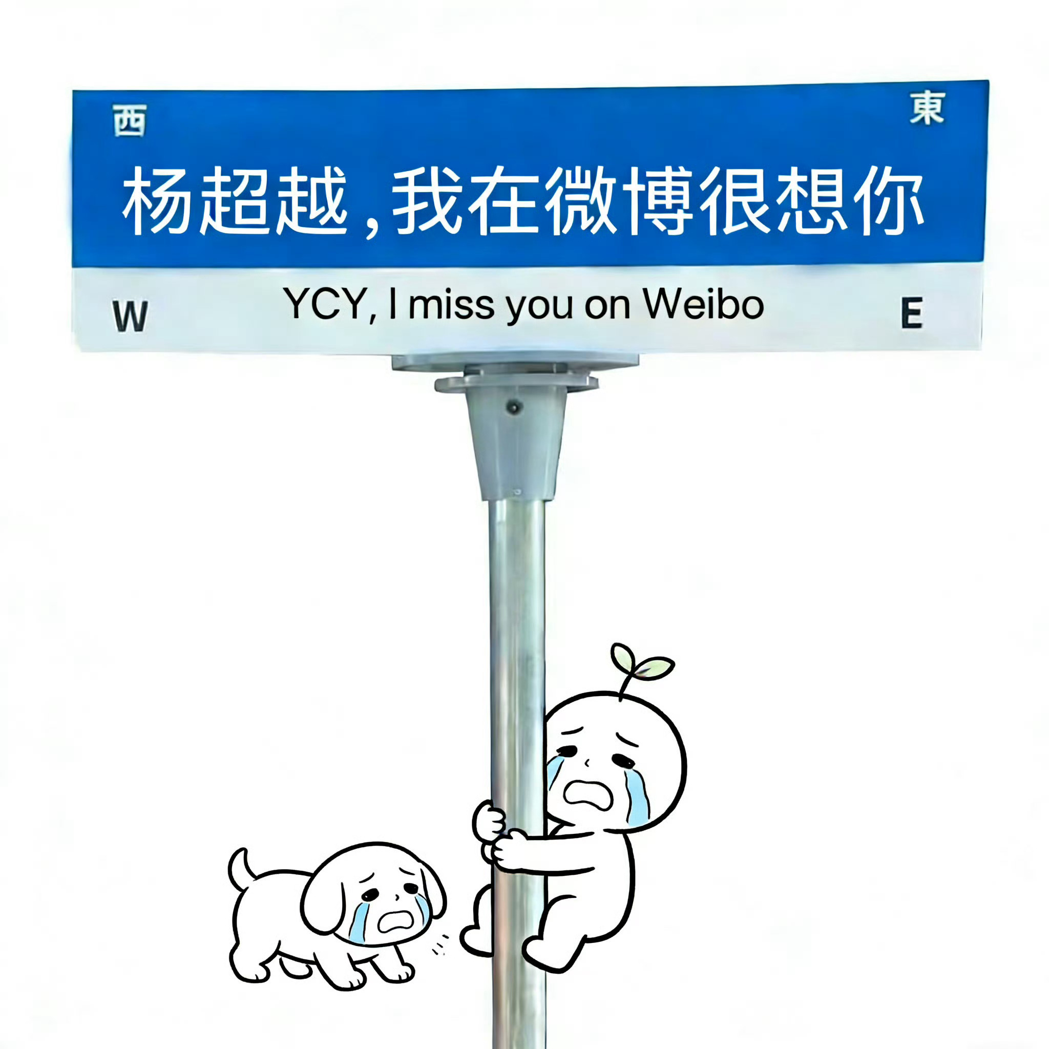 杨超越 周三空降➕福袋任务 双倍积分哦！速来和超越互动 网页链接