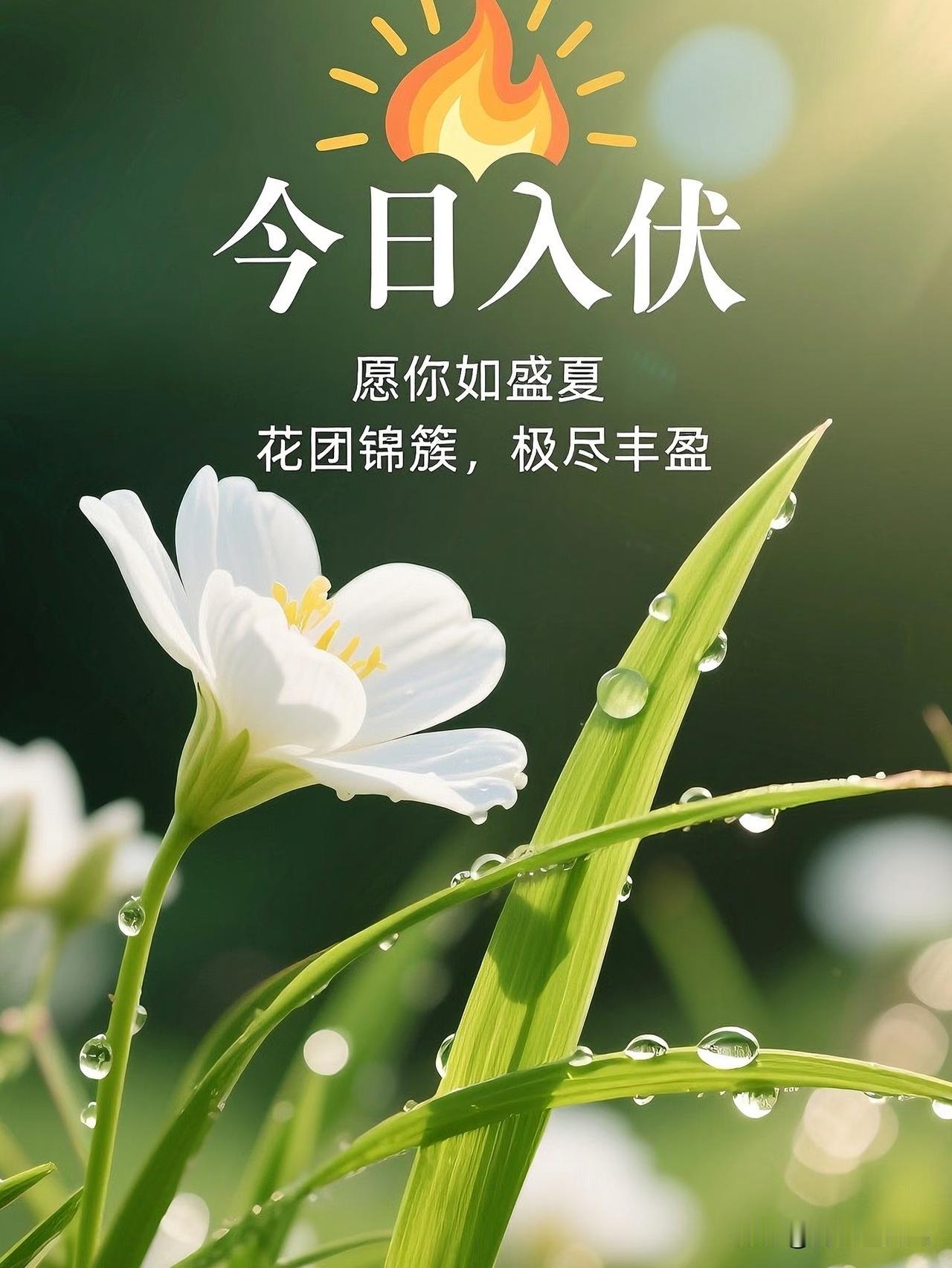 今天正式进入三伏天，一年里最热最闷的日子，就这样悄无声息地来了。
 
窗外烈日灼