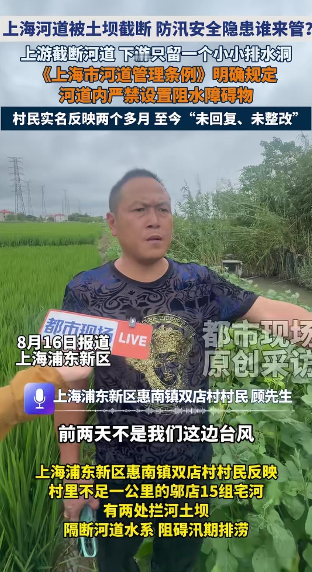 上海也有村霸，这真的是没想到的！

村民反映之后两个月未处理未整改，说明这个东西