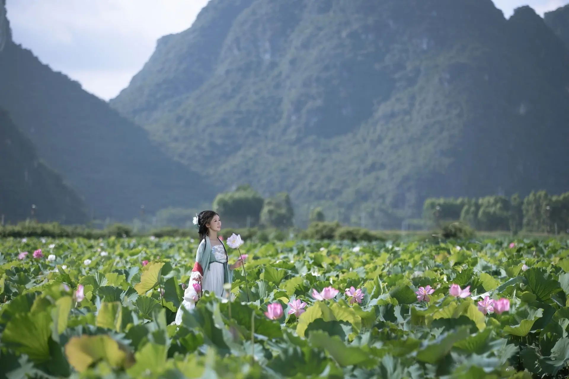 浮香绕曲岸，圆影覆华池。