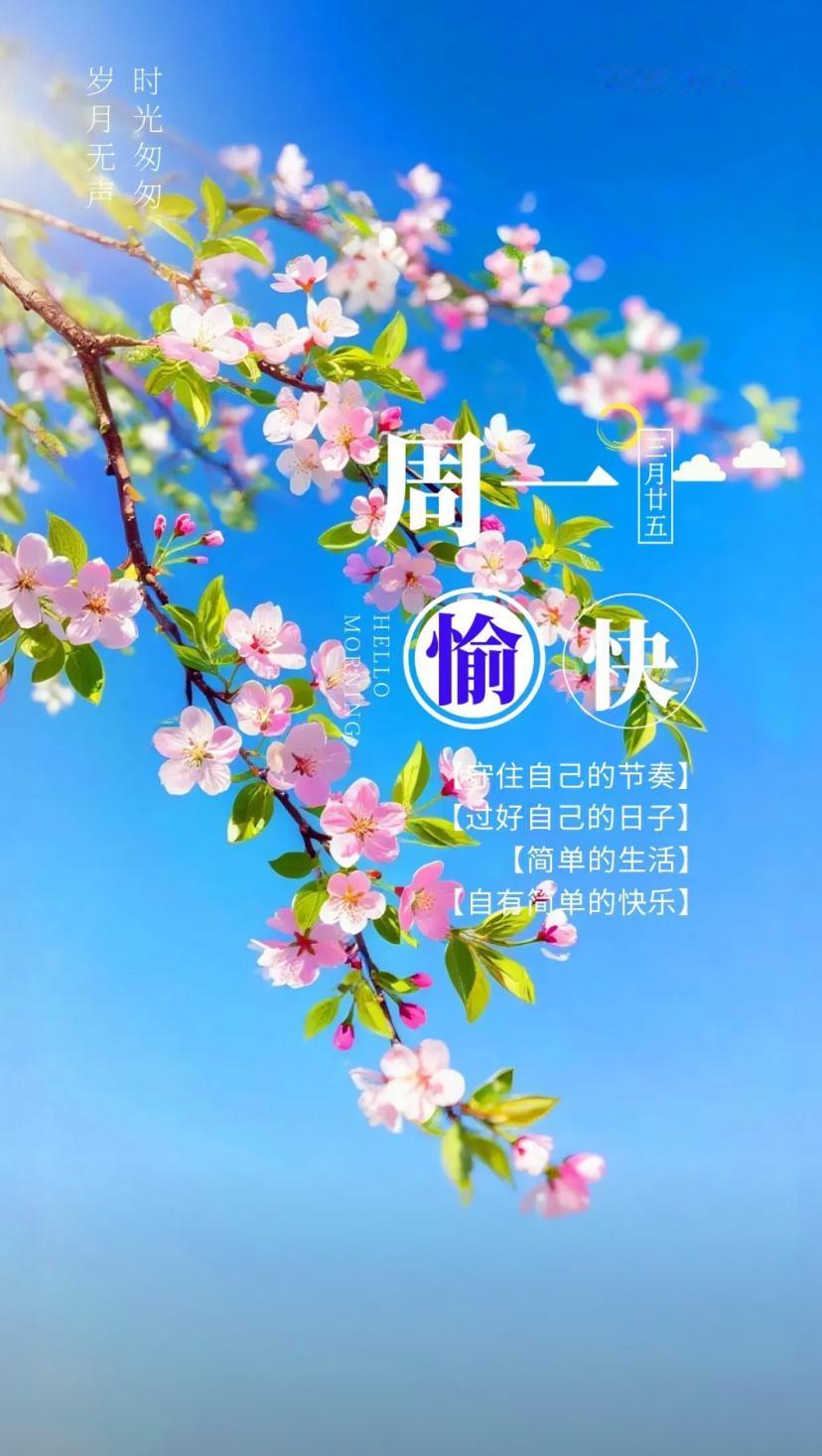 夏晨问安，夏木成荫好运来，晴光入夏添吉庆。
2026./5.11.
[微风][玫